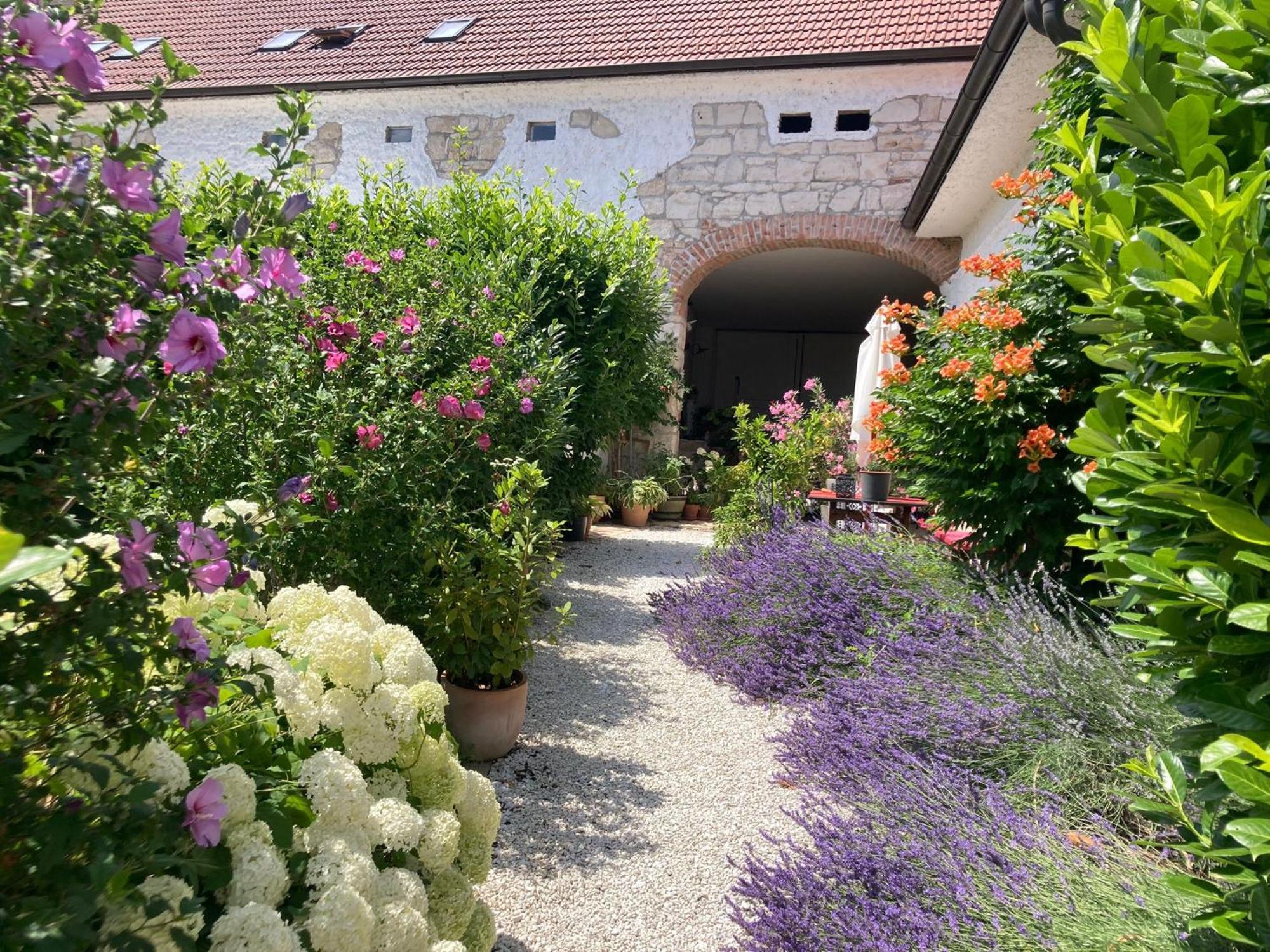 Apartamento Haus Diogenes Mörbisch am See Exterior foto